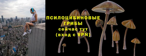 стаф Михайлов