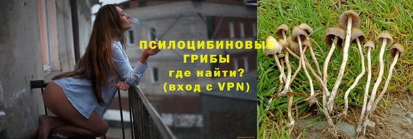 мяу мяу мука Абаза