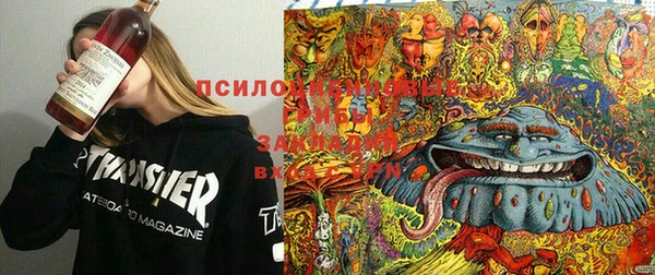 mdma Михайловка